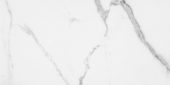 Statuario Venezia Polished 12X24 |  Carpet Barn Carpet One Inc.