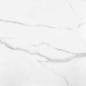 Statuario Venezia Polished 24X24 |  Carpet Barn Carpet One Inc.
