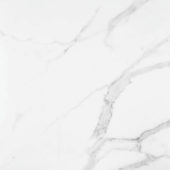 Statuario Venezia Polished 24X24 |  Carpet Barn Carpet One Inc.