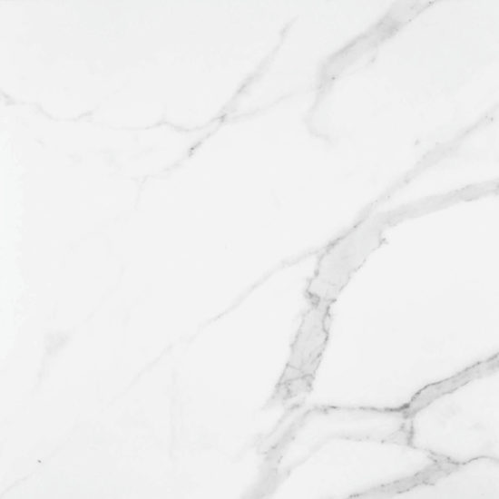 Statuario Venezia Polished 24X24 |  Carpet Barn Carpet One Inc.