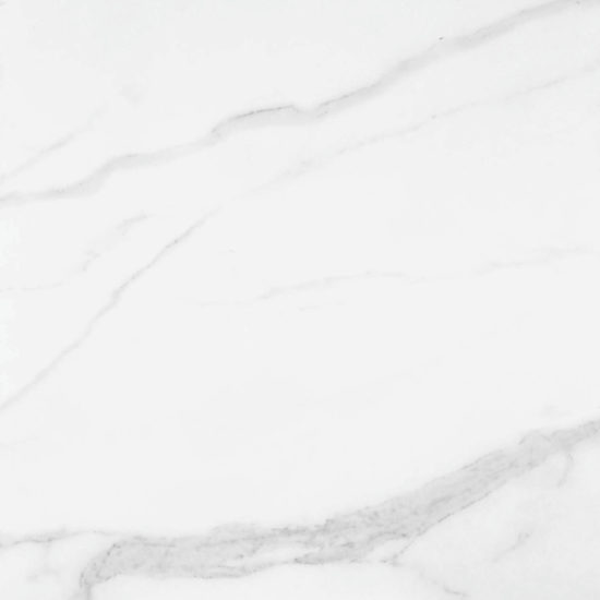 Statuario Venezia Polished 24X24 |  Carpet Barn Carpet One Inc.