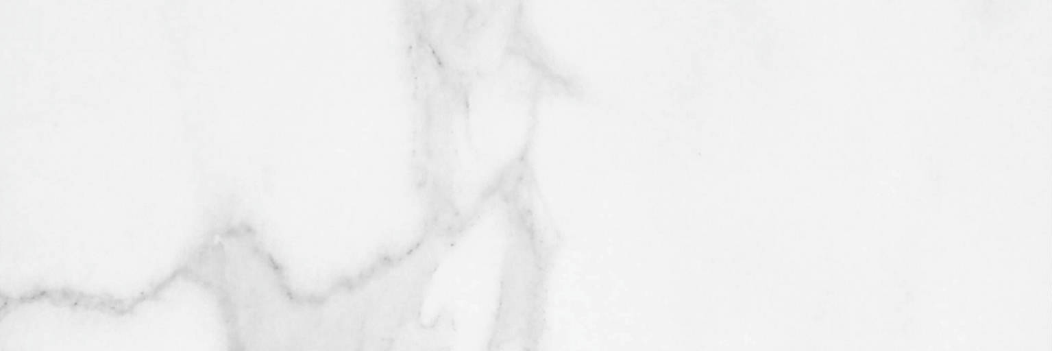 Statuario Venezia Polished 4X12 |  Carpet Barn Carpet One Inc.