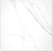 Treasure Statuario 24x24 Polished |  Carpet Barn Carpet One Inc.
