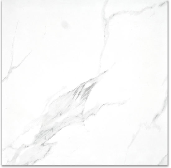Treasure Statuario 24x24 Polished |  Carpet Barn Carpet One Inc.