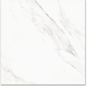 Treasure Statuario 24x24 Polished |  Carpet Barn Carpet One Inc.