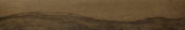 Vivid Vintage 6X36 |  Carpet Barn Carpet One Inc.