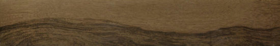 Vivid Vintage 6X36 |  Carpet Barn Carpet One Inc.