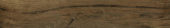 Vivid Vintage 6X36 |  Carpet Barn Carpet One Inc.