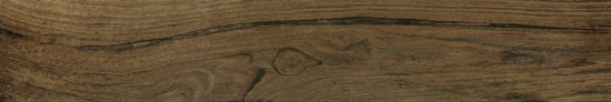 Vivid Vintage 6X36 |  Carpet Barn Carpet One Inc.