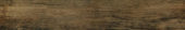 Vivid Vintage 6X36 |  Carpet Barn Carpet One Inc.