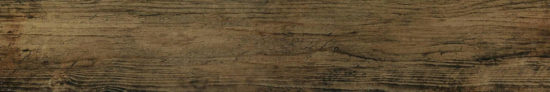 Vivid Vintage 6X36 |  Carpet Barn Carpet One Inc.