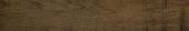 Vivid Vintage 6X36 |  Carpet Barn Carpet One Inc.
