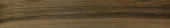 Vivid Vintage 6X36 |  Carpet Barn Carpet One Inc.