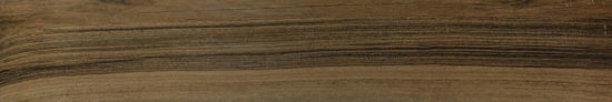 Vivid Vintage 6X36 |  Carpet Barn Carpet One Inc.