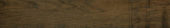 Vivid Vintage 6X36 |  Carpet Barn Carpet One Inc.