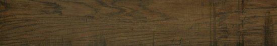 Vivid Vintage 6X36 |  Carpet Barn Carpet One Inc.
