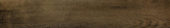 Vivid Vintage 6X36 |  Carpet Barn Carpet One Inc.