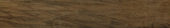Vivid Vintage 6X36 |  Carpet Barn Carpet One Inc.