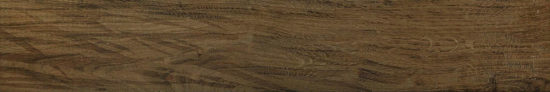 Vivid Vintage 6X36 |  Carpet Barn Carpet One Inc.
