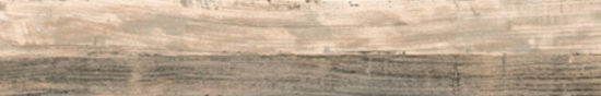 Warm 8X47 |  Carpet Barn Carpet One Inc.
