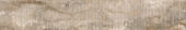 Warm 8X47 |  Carpet Barn Carpet One Inc.