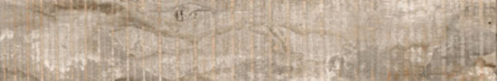 Warm 8X47 |  Carpet Barn Carpet One Inc.