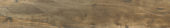 Warm 8X47 |  Carpet Barn Carpet One Inc.