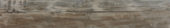 Warm 8X47 |  Carpet Barn Carpet One Inc.