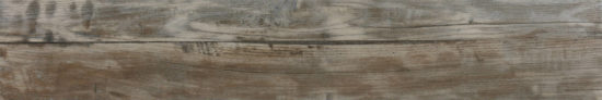 Warm 8X47 |  Carpet Barn Carpet One Inc.