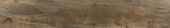 Warm 8X47 |  Carpet Barn Carpet One Inc.