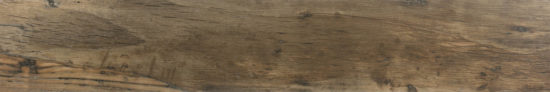 Warm 8X47 |  Carpet Barn Carpet One Inc.