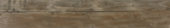 Warm 8X47 |  Carpet Barn Carpet One Inc.