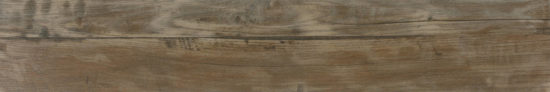 Warm 8X47 |  Carpet Barn Carpet One Inc.