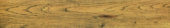 Warm Honey 6X36 |  Carpet Barn Carpet One Inc.