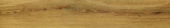 Warm Honey 6X36 |  Carpet Barn Carpet One Inc.