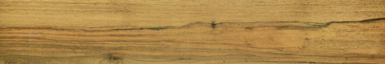 Warm Honey 6X36 |  Carpet Barn Carpet One Inc.