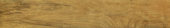 Warm Honey 6X36 |  Carpet Barn Carpet One Inc.