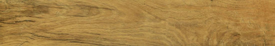 Warm Honey 6X36 |  Carpet Barn Carpet One Inc.