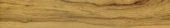 Warm Honey 6X36 |  Carpet Barn Carpet One Inc.