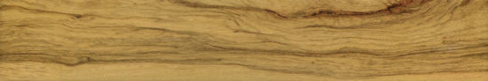 Warm Honey 6X36 |  Carpet Barn Carpet One Inc.