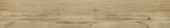 Western Alpine 5.5X33F |  Carpet Barn Carpet One Inc.