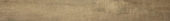 Western Juniper 3X24 Sb |  Carpet Barn Carpet One Inc.