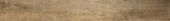 Western Juniper 3X24 Sb |  Carpet Barn Carpet One Inc.