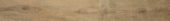 Western Juniper 3X24 Sb |  Carpet Barn Carpet One Inc.