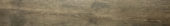 Western Juniper 8X47 |  Carpet Barn Carpet One Inc.