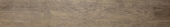 Western Juniper 8X47 |  Carpet Barn Carpet One Inc.