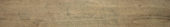 Western Juniper 8X47 |  Carpet Barn Carpet One Inc.