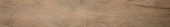 Western Juniper 8X47 |  Carpet Barn Carpet One Inc.