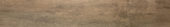 Western Juniper 8X47 |  Carpet Barn Carpet One Inc.