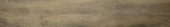 Western Juniper 8X47 |  Carpet Barn Carpet One Inc.